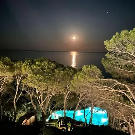 Cap Sa Sal Blue Daire Begur